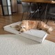 Orthopädische Hundematratze - TORINO BEIGE