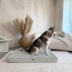 Orthopädische Hundematratze - TORINO GRAU