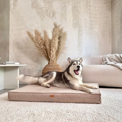 MATERAC dla psa i kota ortopedyczny ciemno beżowy - TORINO BEIGE