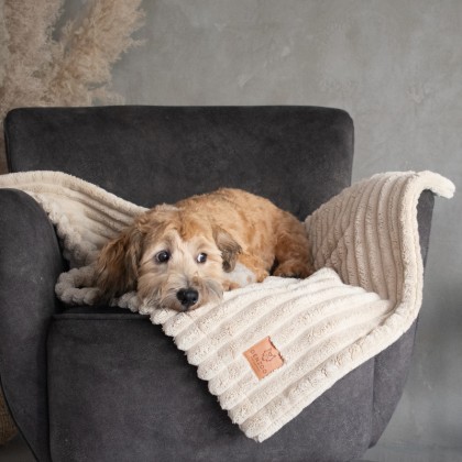 DECKE MILANO BEIGE - DENZOO