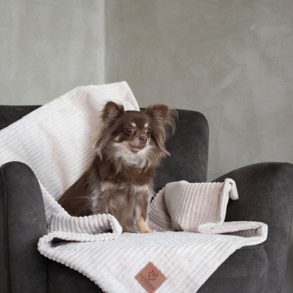 KOCYK MILANO BEIGE