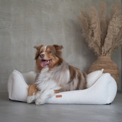 Collection – BELLUNO Pet Beds