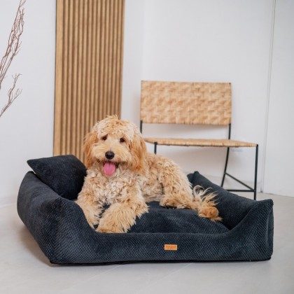 Collection – PRATO Pet Beds