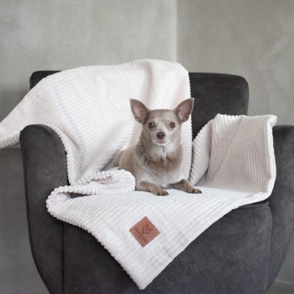 MILANO Kollektion – Decke