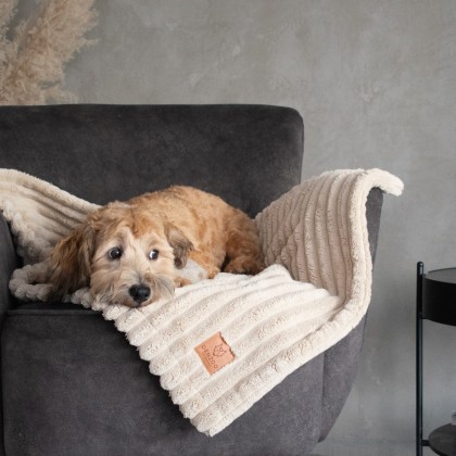 PALERMO Collection – Blanket