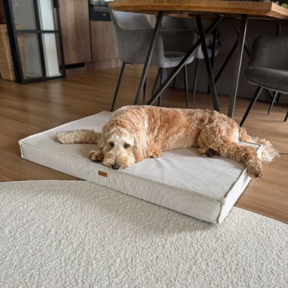 Orthopedic mattresses - TORINO Collection
